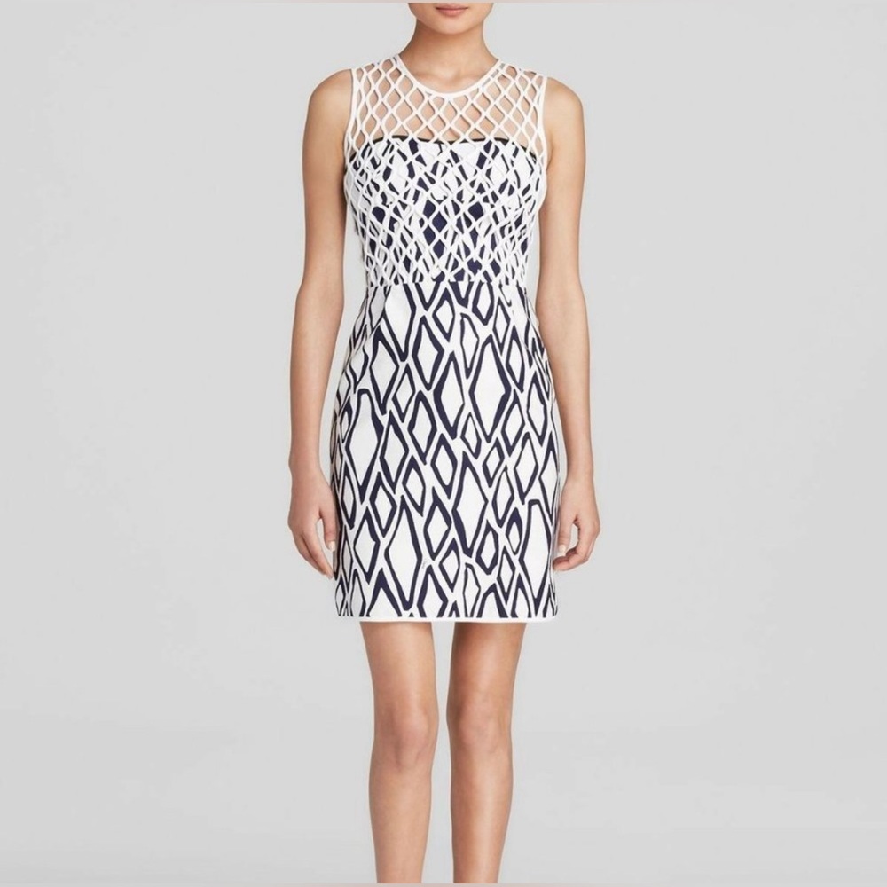 DIANE VON FURSTENBERG Leonora Ikat Dress Size 4 Blue White Netted Woven